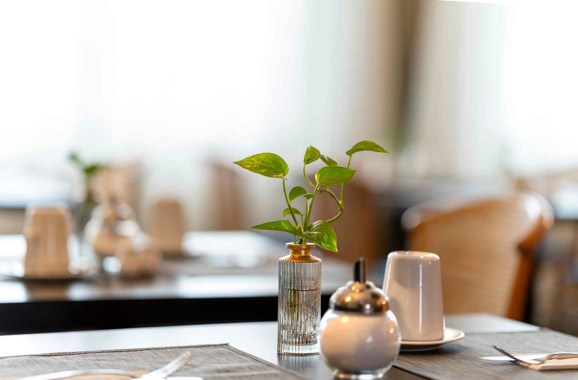 Plaza Inn Blankenburg Ditzingen, Sure Hotel Collection Luaran gambar