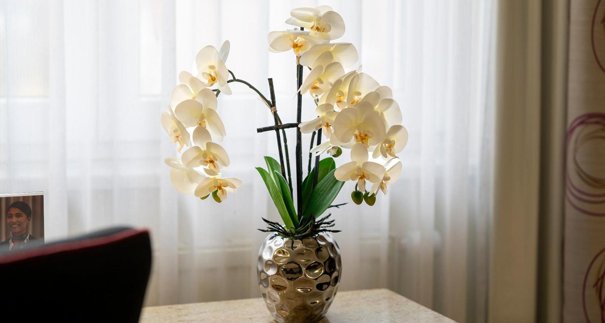 Plaza Inn Blankenburg Ditzingen, Sure Hotel Collection Luaran gambar
